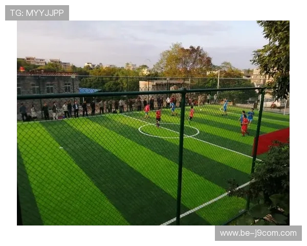 丹阳甲级足球场设施与赛事发展前景分析及其在区域足球文化中的作用